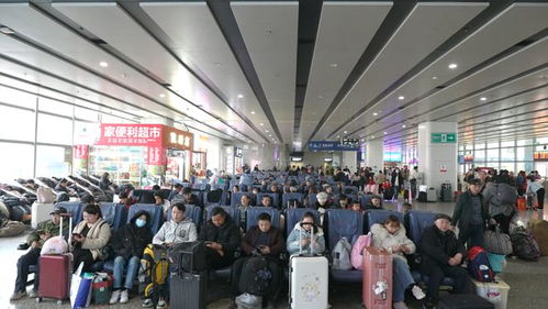 长沙汽车西站春运客流高峰来临 驾驶员培训助力安全出行